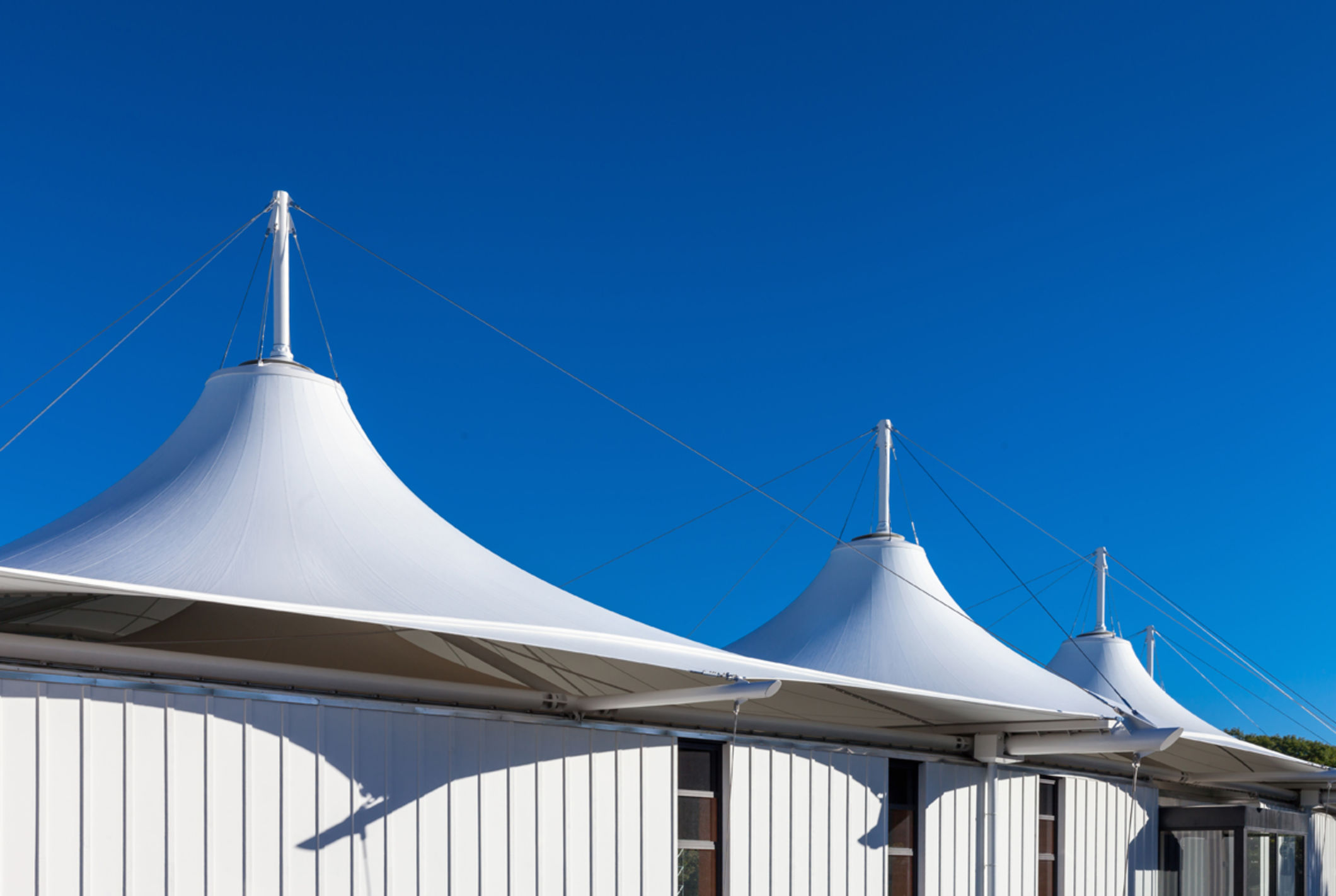 Hagley Oval     
Redevelopment